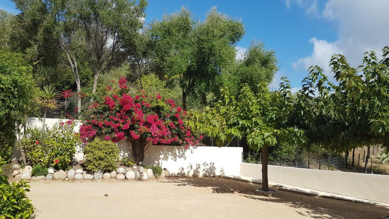 Residence U MELU GRAND T3 JAUNE à l'étage Tiuccia Exterior foto