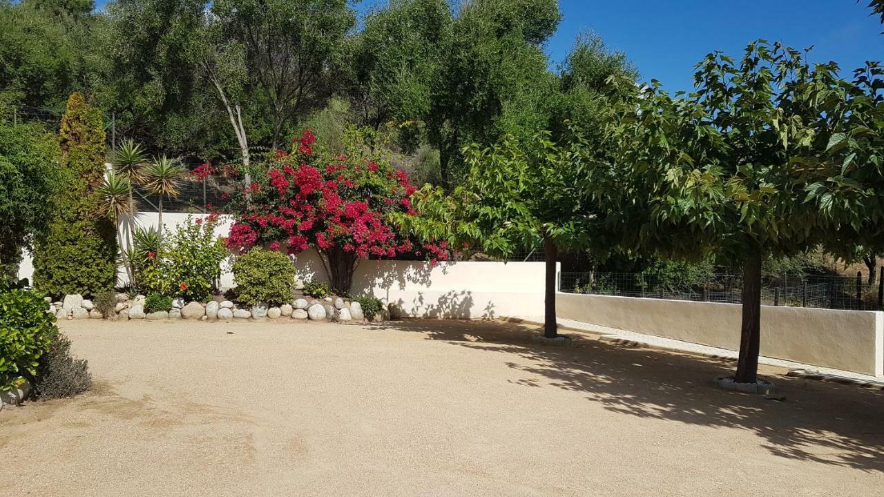 Residence U MELU GRAND T3 JAUNE à l'étage Tiuccia Exterior foto