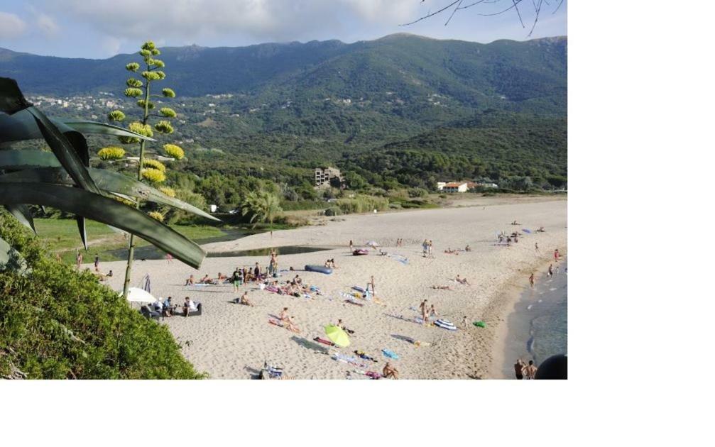 Residence U MELU GRAND T3 JAUNE à l'étage Tiuccia Exterior foto